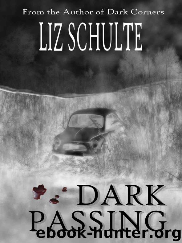 Dark Passing by Liz Schulte