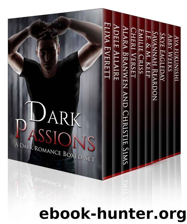 Dark Passions: Dark Romance Boxed Set by Everett Elixa & Eagleday Skye & Fukunishi Aya & Criss Emilie & Weeks Abby & Verset Cheri & Reardon Savannah & Allaire Adele & J.E. & M. Keep & Alara Branwen & Christie Sims
