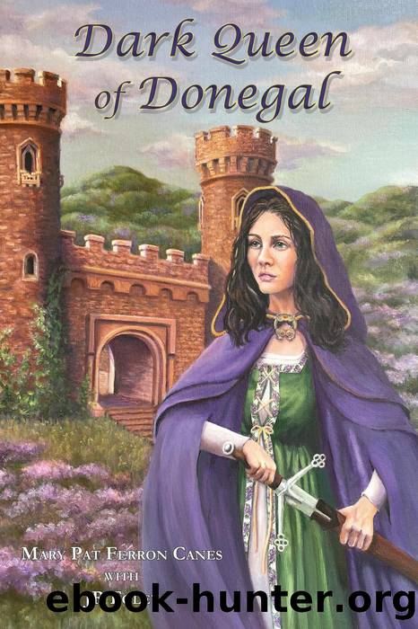 Dark Queen of Donegal by Mary Pat Ferron Canes & JR Foley