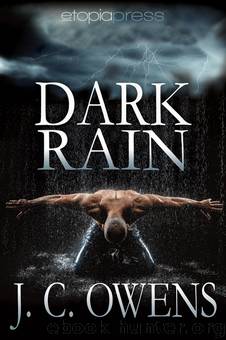 Dark Rain by J. C. Owens