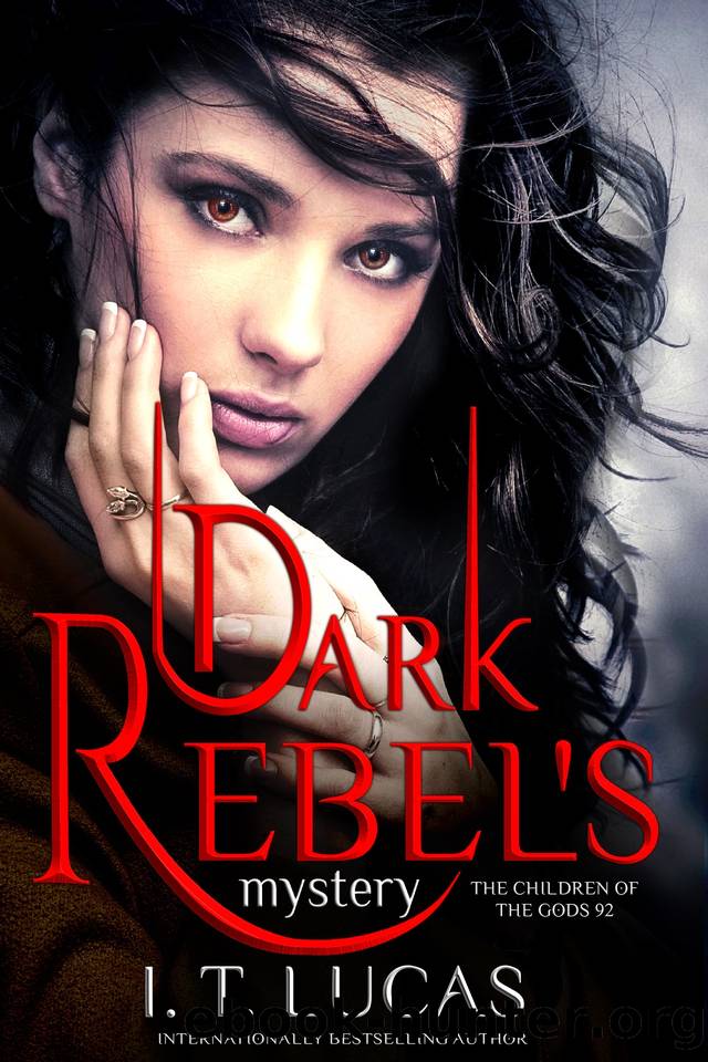 Dark Rebel's Mystery by I. T. Lucas