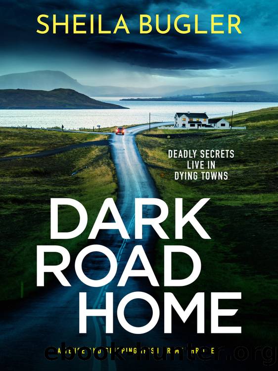 Dark Road Home by Sheila Bugler