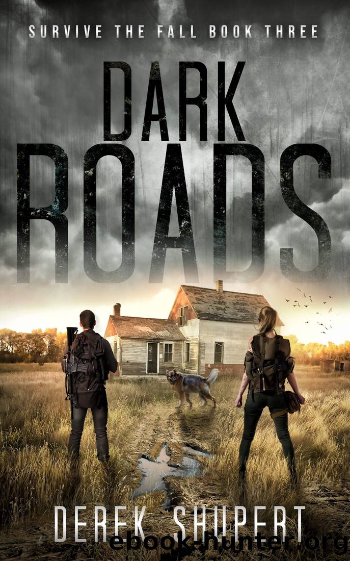 Dark Roads by Shupert Derek