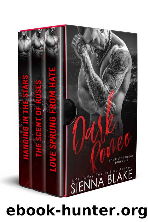 Dark Romeo Complete Trilogy Box Set by Sienna Blake