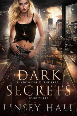 Dark Secrets (Shadow Guild: The Rebel Book 3) by Linsey Hall