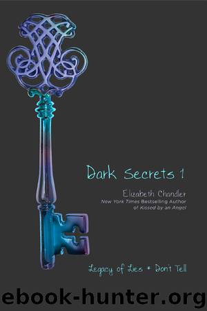 Dark Secrets 1 by Elizabeth Chandler