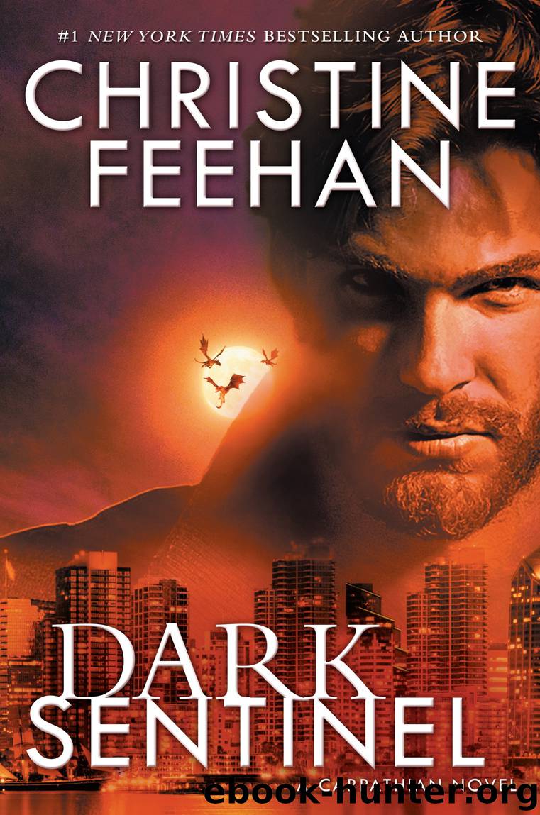 Dark Sentinel by Christine Feehan