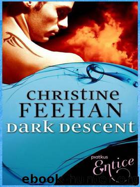 Dark Series 11 Dark Descent by Christine Feehan