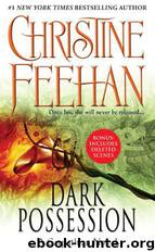 Dark Series 18 Dark Possession by Christine Feehan