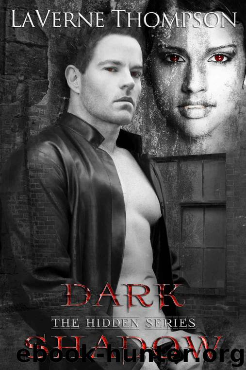 Dark Shadow: The Hidden Series by Laverne Thompson
