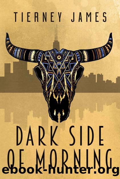 Dark Side of Morning (Wind Dancer Book 1) by Tierney James