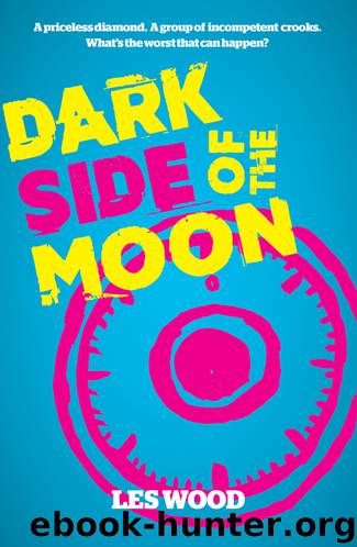 Dark Side of the Moon by Les Wood