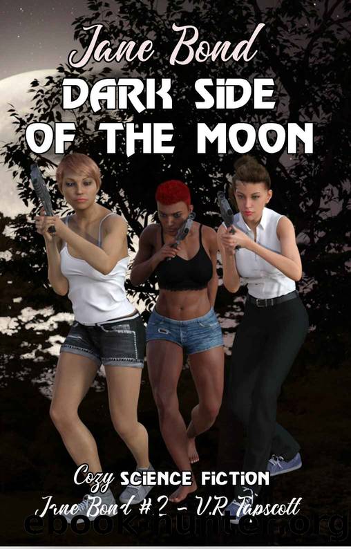 Dark Side of the Moon by V R Tapscott