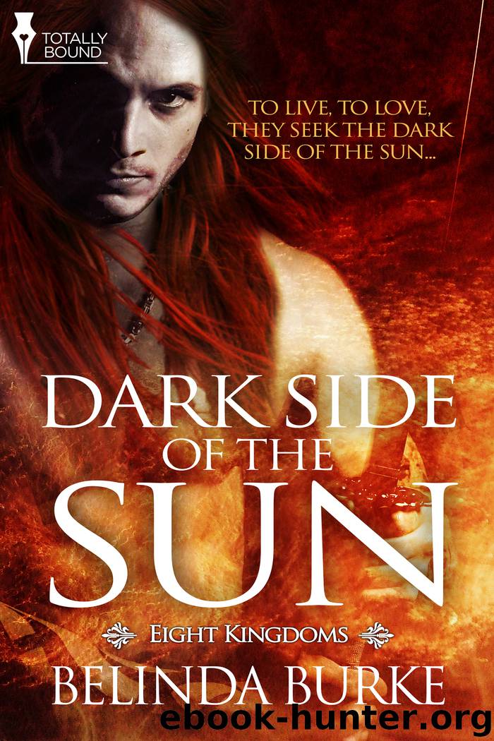 Dark Side of the Sun by Belinda Burke
