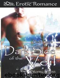 Dark Side of the Veil by Stormy Glenn