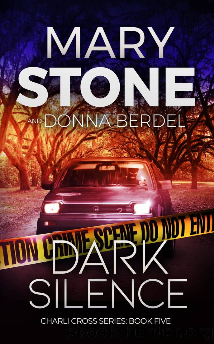 Dark Silence by Stone Mary