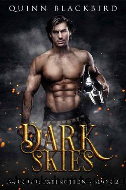 Dark Skies : A Dark Fae Romance, A Dark Paranormal Romance (Dark Fae: Extinction Book 2) by Quinn Blackbird