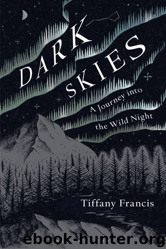 Dark Skies by Tiffany Francis-Baker