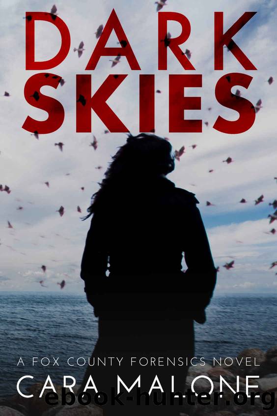 Dark Skies: A Fox County Forensics Lesbian Romantic Suspense by Malone Cara