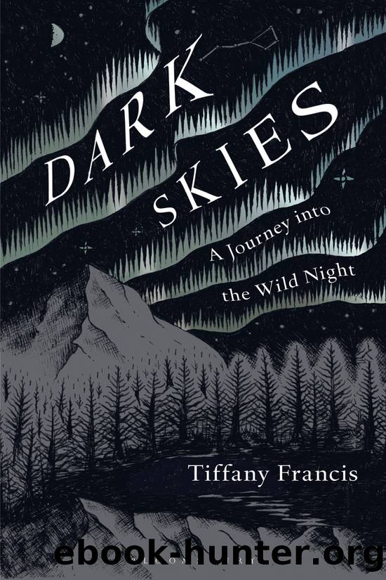 Dark Skies_A Journey Into the Wild Night by Tiffany Francis-Baker