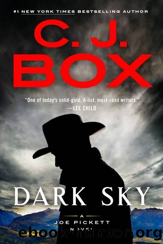 Dark Sky by C. J. Box