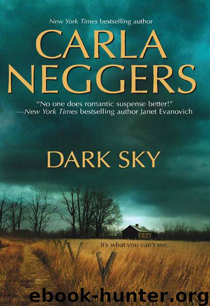 Dark Sky by Carla Neggers