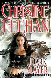Dark Slayer by Christine Feehan