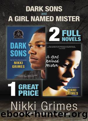 Dark Sons and a Girl Named Mister by Nikki Grimes