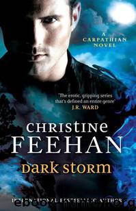 Dark Storm (Book 23) by Christine Feehan