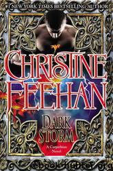 Dark Storm 23 by Christine Feehan