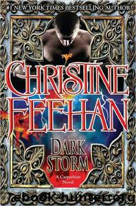Dark Storm by Christine Feehan