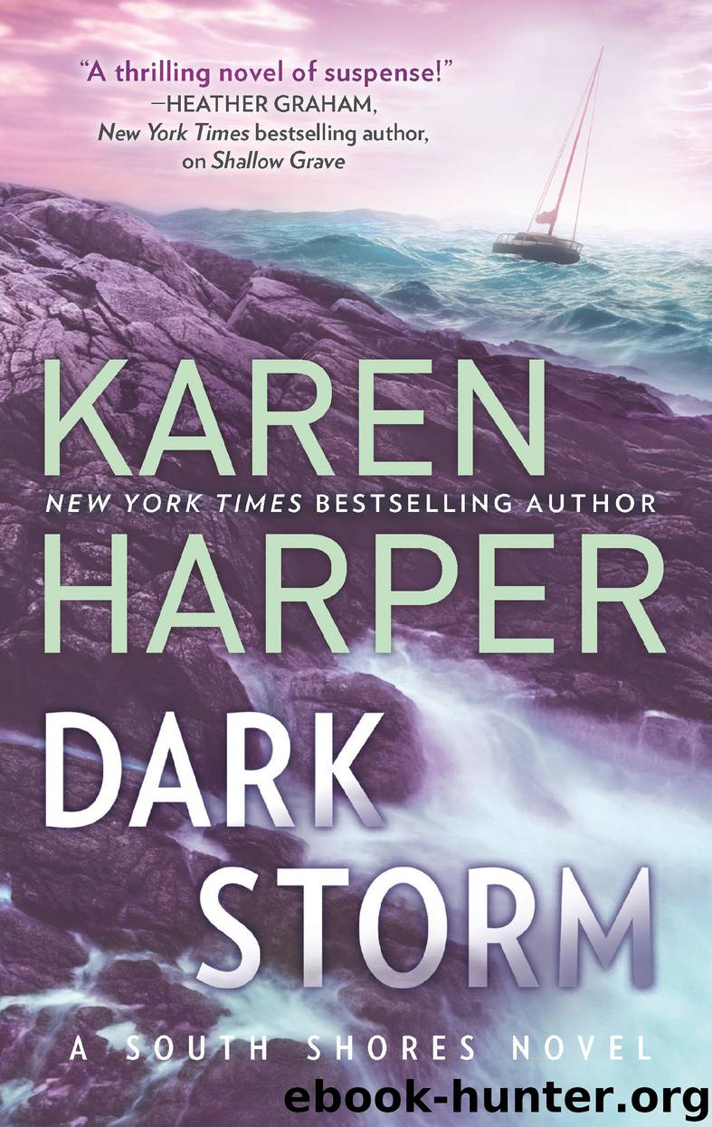 Dark Storm by Karen Harper