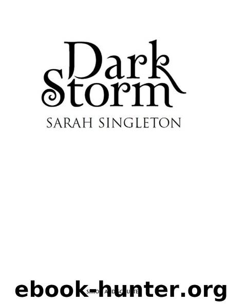 Dark Storm by Sarah Singleton