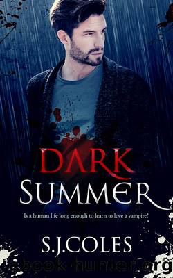 Dark Summer by S. J. Coles