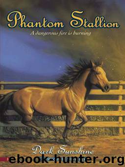 Dark Sunshine by Terri Farley