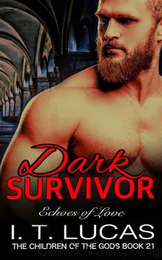 Dark Survivor Echoes of Love by I T Lucas