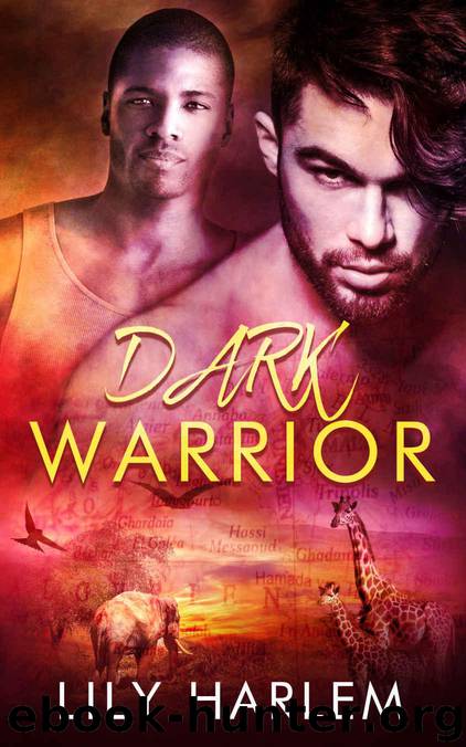 Dark Warrior: Gay Romance by Harlem Lily