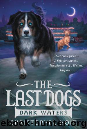 Dark Waters by Christopher Holt