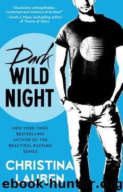 Dark Wild Night by Christina Lauren