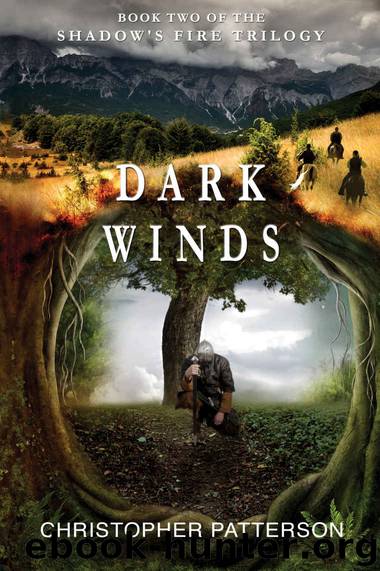 Dark Winds by Christopher Patterson