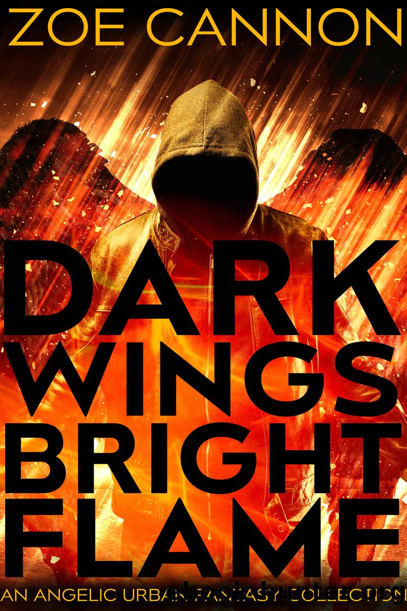 Dark Wings, Bright Flame by Zoe Cannon