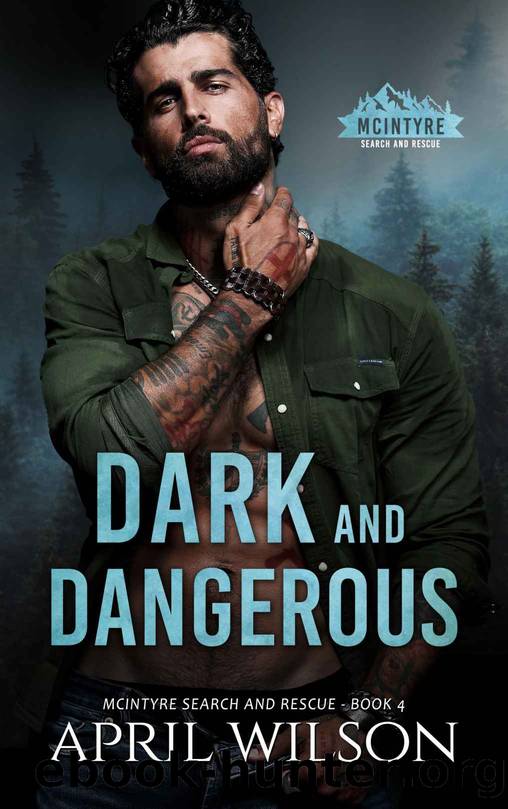 Dark and Dangerous: A small town romantic suspense novel (McIntyre Search and Rescue Book 4) by April Wilson