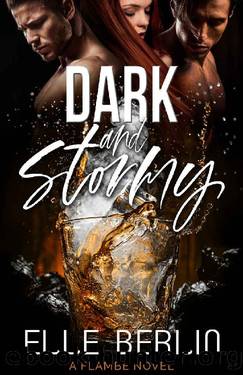 Dark and Stormy: A love triangle, fake-dating romantic comedy by Elle Berlin