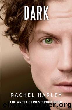 Dark by Rachel Harley