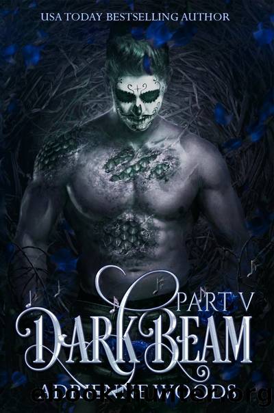Darkbeam V by Adrienne Woods
