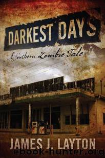 Darkest Days: A Southern Zombie Tale by Layton James J