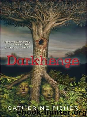 Darkhenge by Catherine Fisher