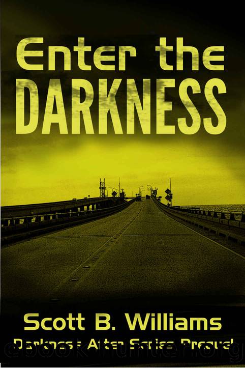 Darkness After Series (Prequel): Enter the Darkness by Scott B. Williams
