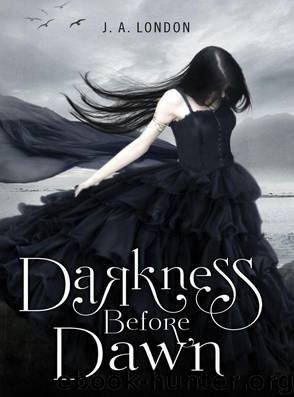 Darkness Before Dawn (Darkness Before Dawn - Trilogy) by London J. A