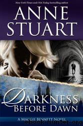 Darkness Before Dawn by Anne Stuart